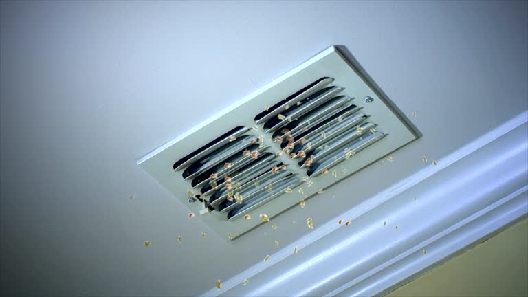 Best Air Duct Cleaning Cost  in Wells Branch, TX