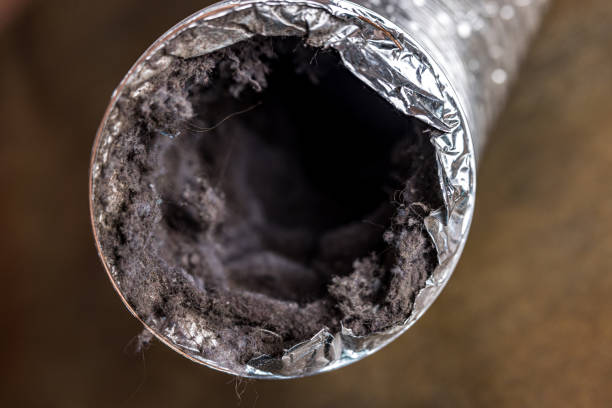 Best HVAC System Cleaning  in Wells Branch, TX